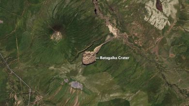 open arctic tundra terrain with low shrubs and thaw ponds